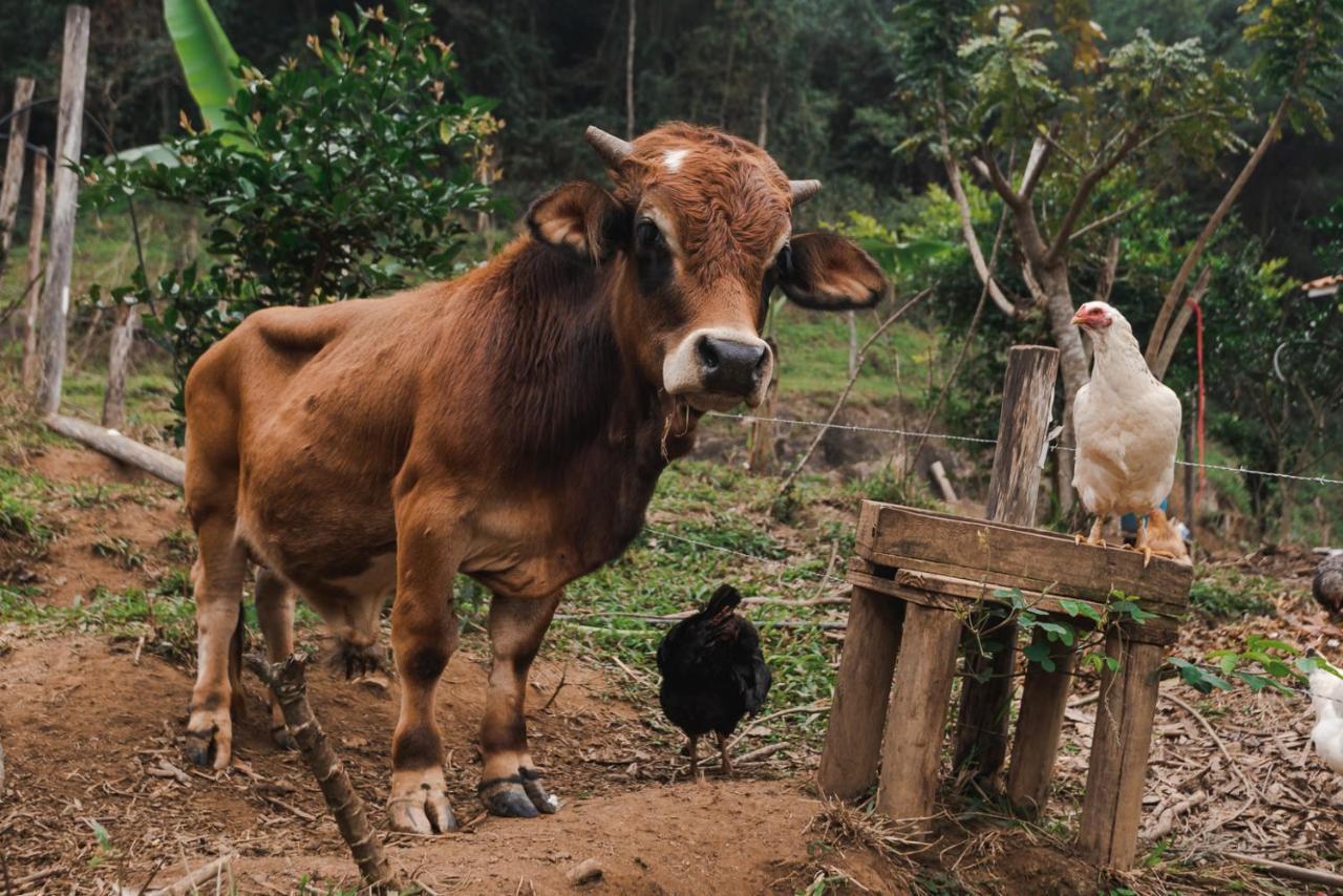 Hotel Fazenda Monteiro Conservatória Eksteriør bilde