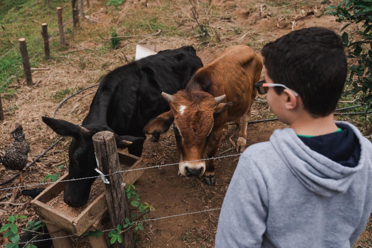 Hotel Fazenda Monteiro Conservatória Eksteriør bilde